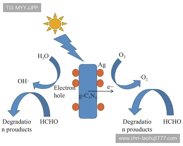 全面了解ag电子排布图的设计原则与优化策略，提升游戏体验与胜率