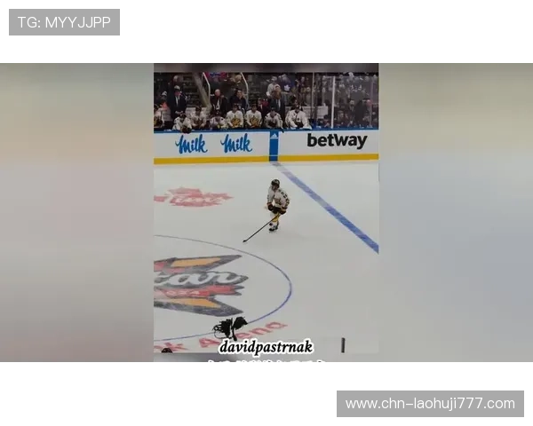 冰球突破豪华版游戏平台多平台支持，随时随地畅玩冰球游戏享受无限乐趣